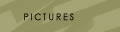 Pictures