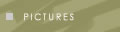 Pictures